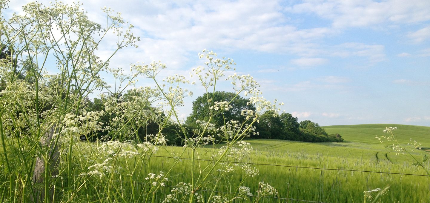 Uckermark-2
